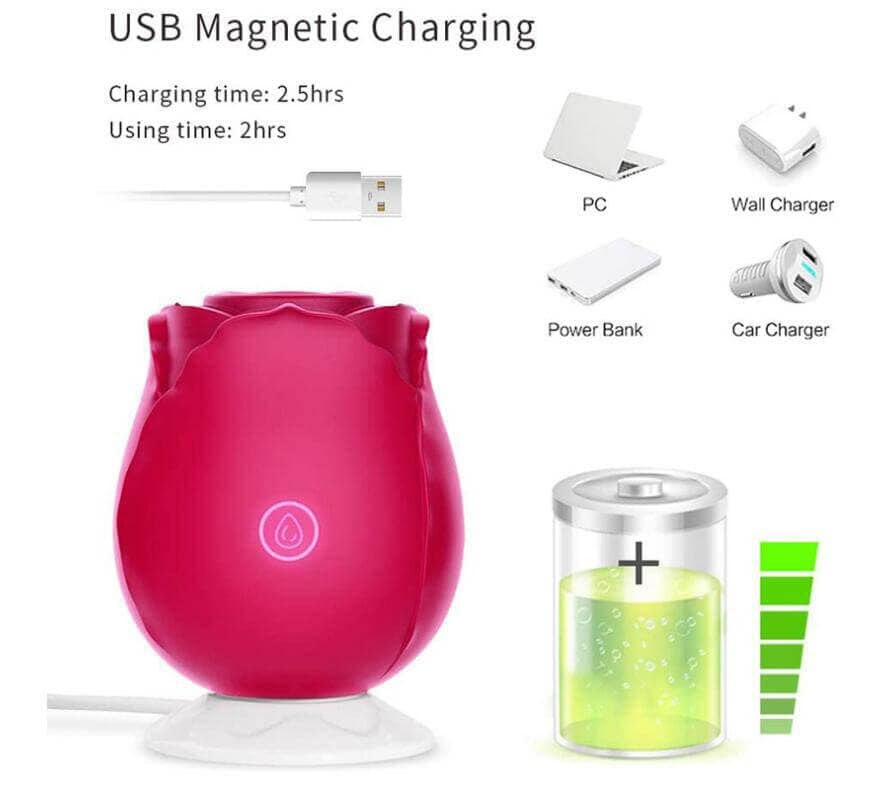 Sucking Rose Vibrator Toy for Women