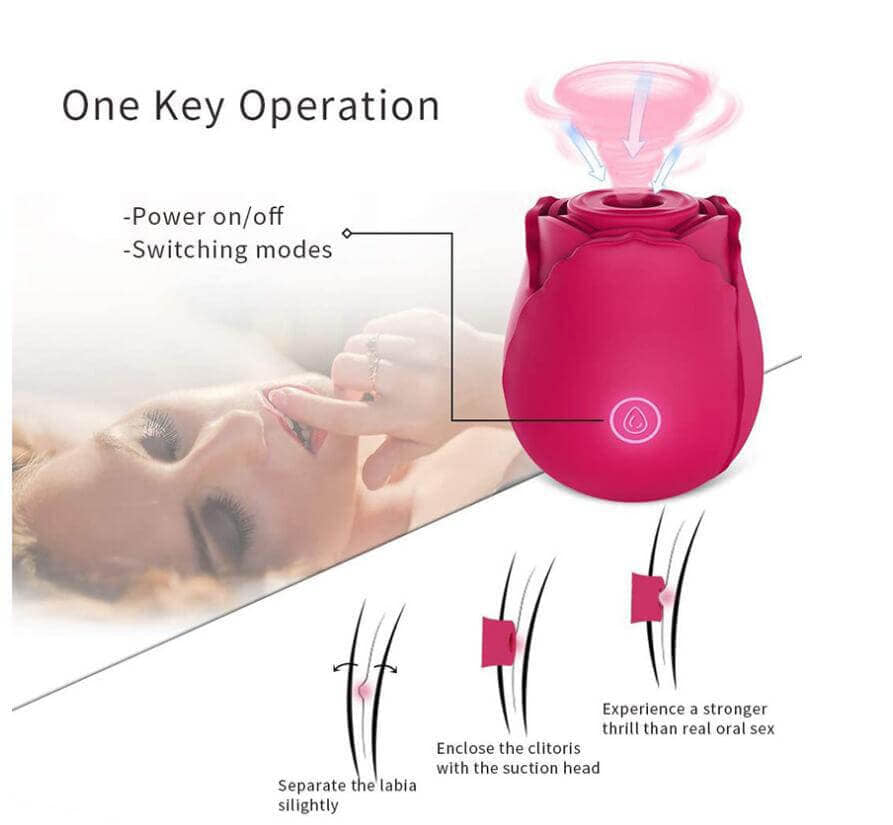 Sucking Rose Vibrator Toy for Women
