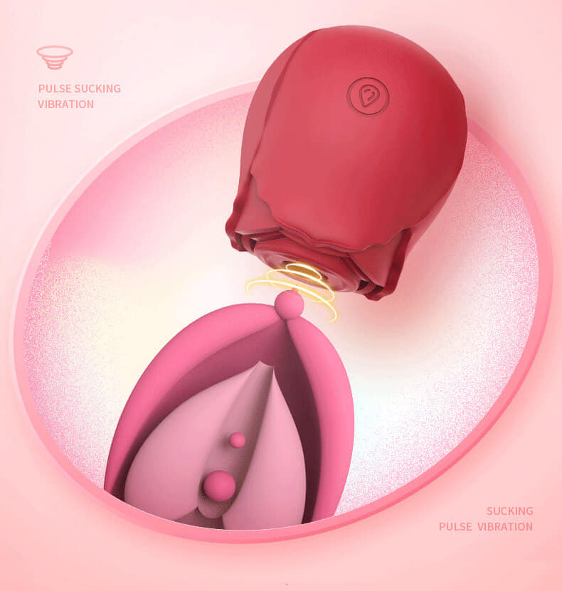 Sucking Rose Vibrator Toy for Women