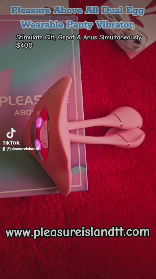 Dual Egg Wearable Vibrator