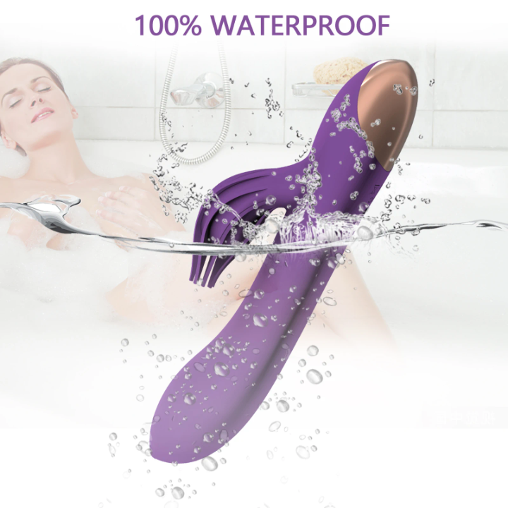 Clit Brush Rabbit Vibrator, Dildo, USB Rechargeable, Dual Motors