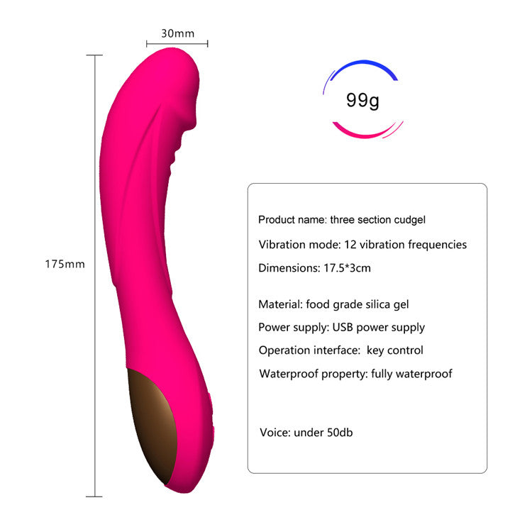 Powerful 12 Frequency Penis Wand