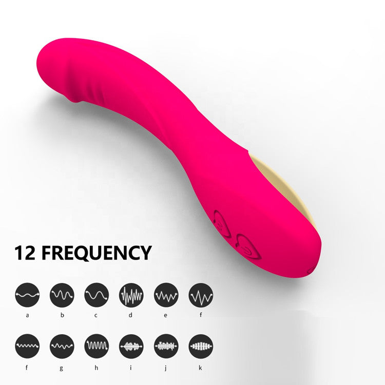 Powerful 12 Frequency Penis Wand