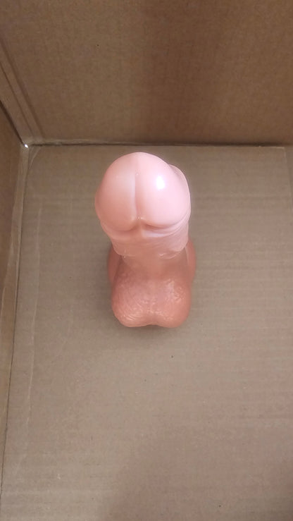 6.3 Inch Realistic Dual-Function Silicone Dildo Pleasure Toy – Adult Intimate Massager