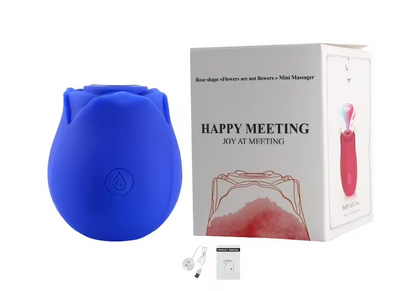 Sucking Rose Vibrator Toy for Women