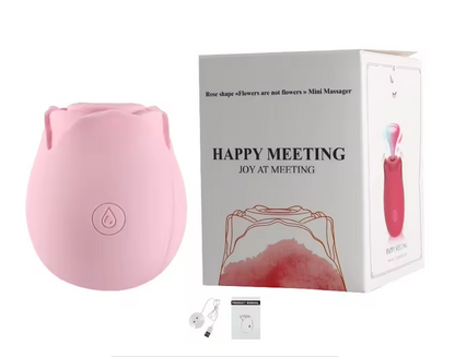 Sucking Rose Vibrator Toy for Women