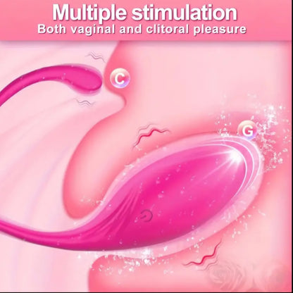 App Controlled Wearable/ Insertable Panty Vibrator, USB Rechargeable