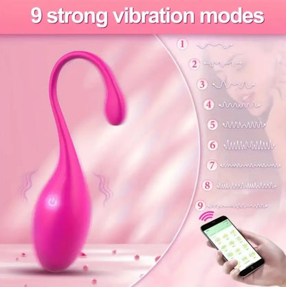 App Controlled Wearable/ Insertable Panty Vibrator, USB Rechargeable