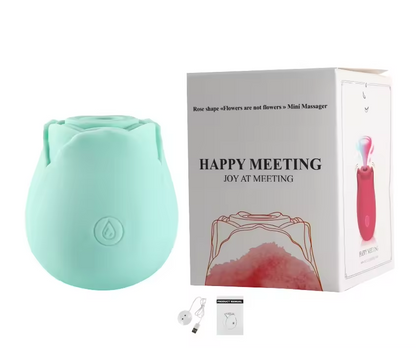 Sucking Rose Vibrator Toy for Women