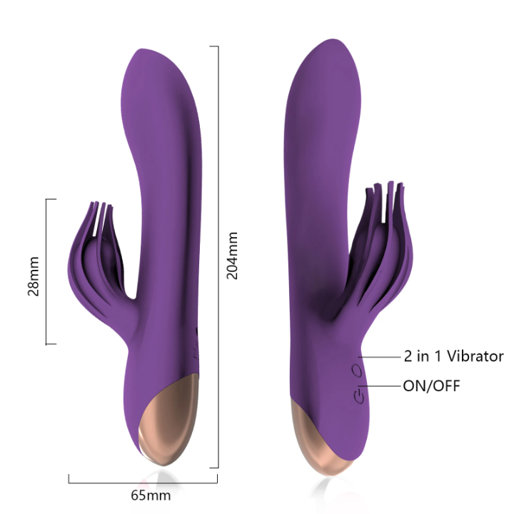 Clit Brush Rabbit Vibrator, Dildo, USB Rechargeable, Dual Motors