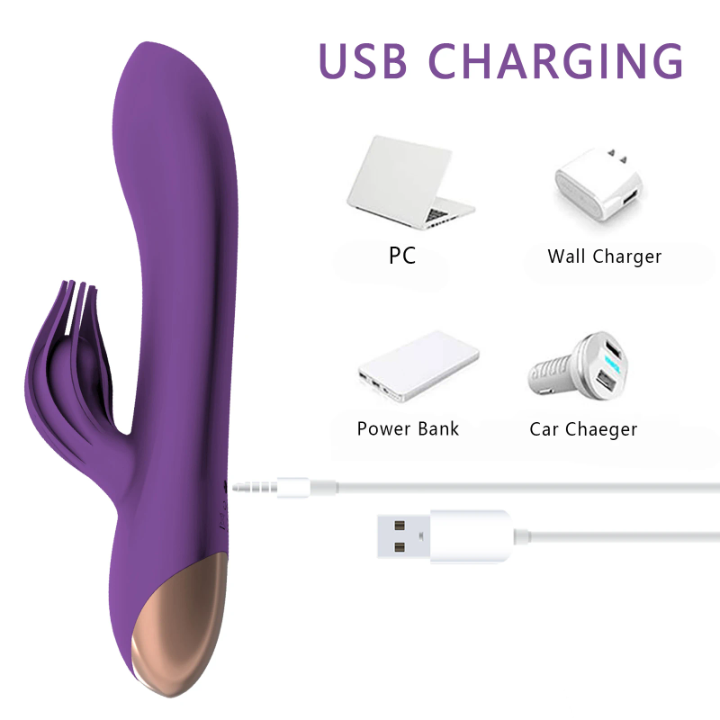 Clit Brush Rabbit Vibrator, Dildo, USB Rechargeable, Dual Motors