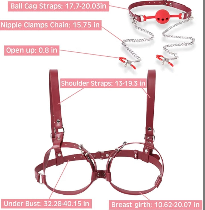 BDSM Sex Bondage Breast Restraints, B to D Cup Chest Harness Boobs Cincher with Silicone Ball Gag & Nipple Clamps, Sex Harness Kinky Lingerie Bra SM Games Sex Toys for Women Couples Beginner (Red)