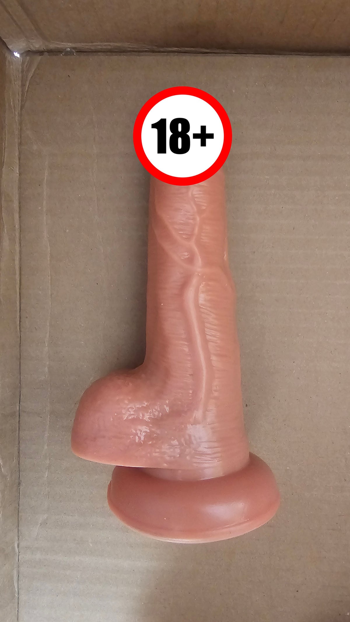 6.3 Inch Realistic Dual-Function Silicone Dildo Pleasure Toy – Adult Intimate Massager