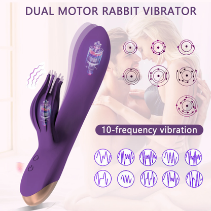 Clit Brush Rabbit Vibrator, Dildo, USB Rechargeable, Dual Motors