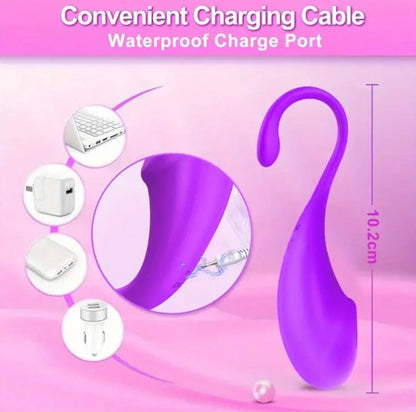 App Controlled Wearable/ Insertable Panty Vibrator, USB Rechargeable