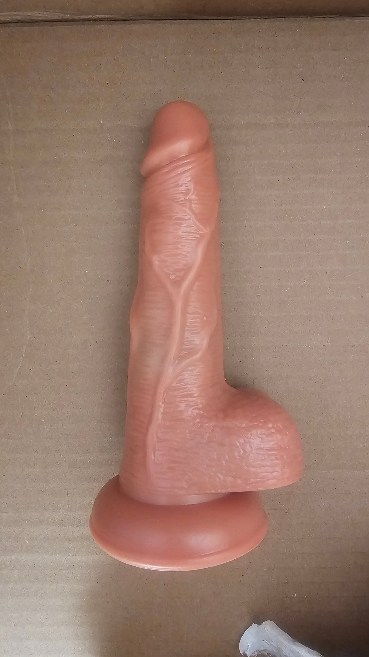 6.3 Inch Realistic Dual-Function Silicone Dildo Pleasure Toy – Adult Intimate Massager